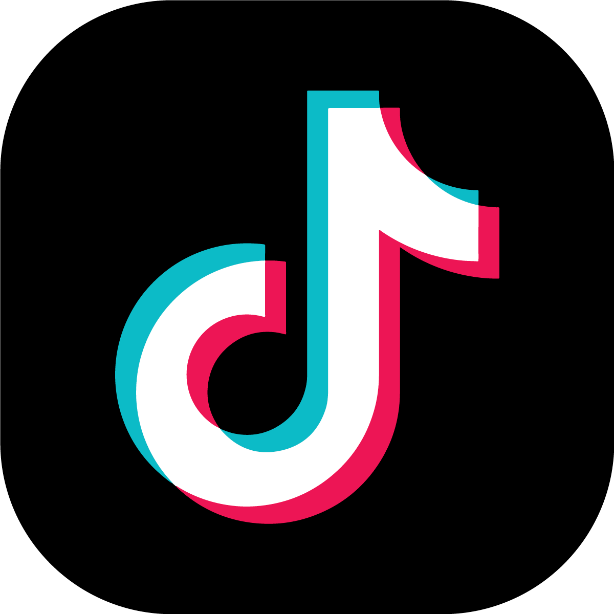 TikTok Gamer